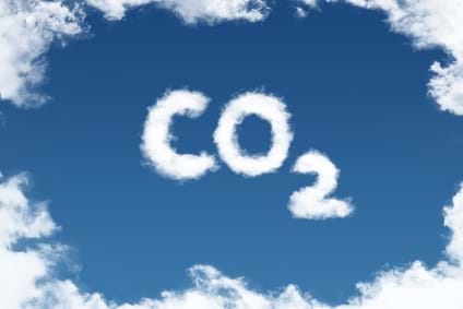 TSI ist dem Umweltschutz verpflichtet und alle Dienste werden CO2 neutral betrieben.