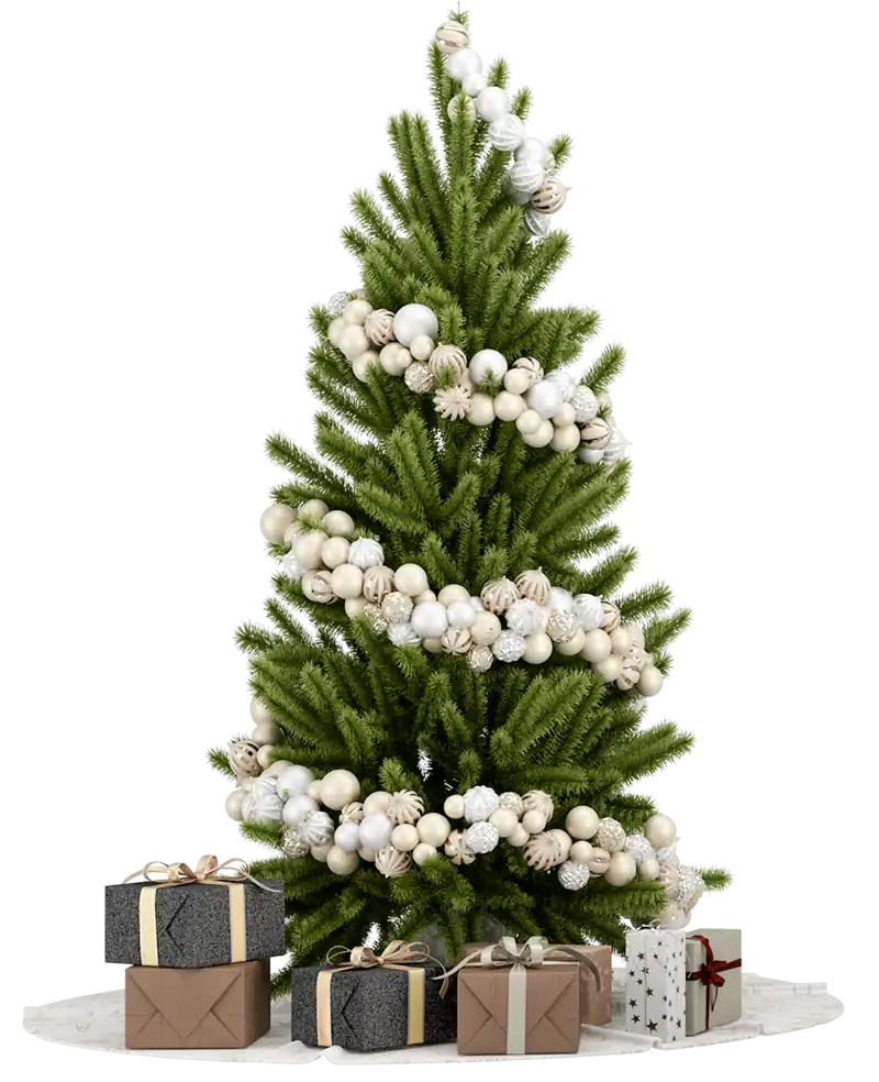 Merry Christmas and a Successful New Year 2026